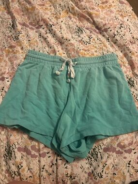 Z Supply Teal Drawstring Lounge Shorts